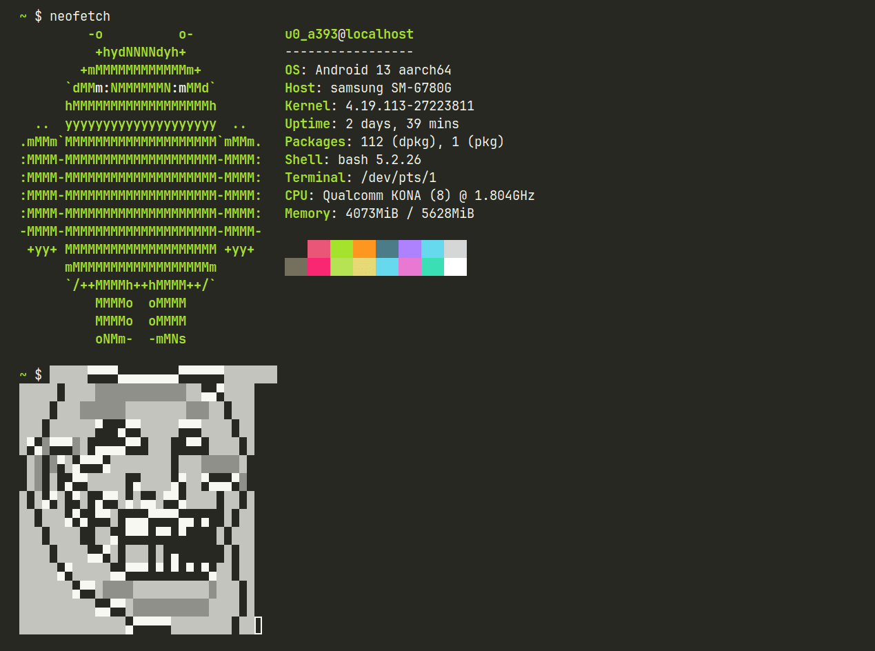 Print do meu terminal com neofetch e trollface ascii